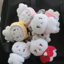 채다올김밥(구미신평점) | 2025 김천김밥축제 현실 후기 - 사람구경 잔뜩 하고 옴