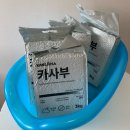 예진카 | 두부&amp;카사바 모래 처음 써보는 고양이의 강집사 하이브리드 카사부모래 체험후기