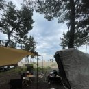 백사장민박 | 강원도 삼척 용화 해변 캠핑 비 오는 날에도 낭만 넘쳤던 노지 캠핑 후기 (2026년)