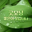 배우 문희경ㅡ 님이여 ㅡ (정의송 작사ㅡ 정의송 작곡] ㅡ 이미지