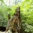 누리공인중개사사무소 이미지