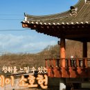 스테이소호헌