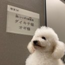보쿠굿즈