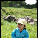 별빛동화 펜션 이미지