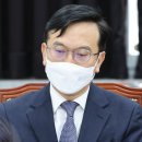 김남우 카카오 검색결과