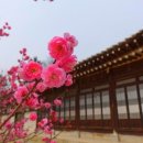 아산온천동우체국 이미지