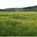 금호강8 이미지