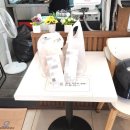 우리할매떡볶이세종 | [세종 떡볶이] 우리 가족 최애 떡볶이! 우리할매떡볶이 세종시청점 방문 후기!