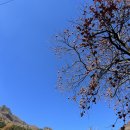 바다옆닭장 | 여행 동해 묵호 한옥 감성 펜션 숙소 여행 추천 '백년한옥별채'(바베큐 가능/나무 평상/닭장 체험/불멍)