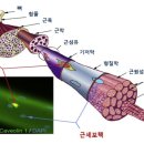 유어메모리