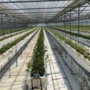 늘픔농장 이미지