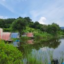 고재낚시터 이미지