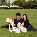 난지천3(축구장) 이미지