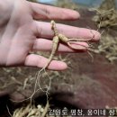 웅이네 이미지