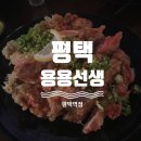 평택역 용용선생 | 평택역 술집 고추바삭유림기 추천 용용선생 안주맛집