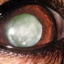 다온동물병원 이미지