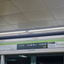 부산 대연동 닭보쌈 맛집 계이팅, 처음 먹어본 닭보쌈 솔직후기