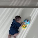 미소자동차 | [토이미소] 원펀 똑똑한 무선 자동차ㅣ3개월 아기 터미타임 장난감 추천