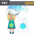 보라인력 이미지