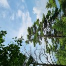 감산1리 이미지