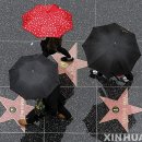 삼대삼