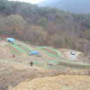 바보농장 이미지