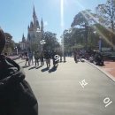 일본 도쿄 디즈니랜드 큰딸과 손녀 3박4일여행#나리타 공항#택시취소#유라시아호텔#디즈니랜드#미녀와야수등#첫날#일정#영상#가수남순TV 이미지