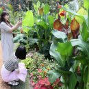 (주)서울지에스렌트카 이미지