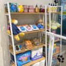 도그노리터 이미지