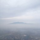 파스텔시티Ⅱ 이미지