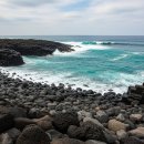 대신유통 이미지