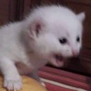 하우스 TALK 이미지