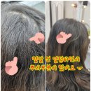 영도미용실 머리하기좋은날