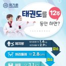 한국체대 건강한태권도 이미지