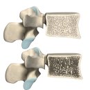 서울베스트정형외과의원 이미지