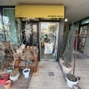 새롬꿈어린이집옆 이미지