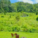 카페만디 이미지