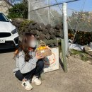 주상농장 이미지