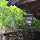 SPECIAL ONE 이미지