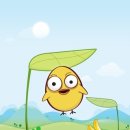 칙 플라잉 이미지