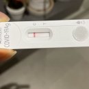 천호1동점굽네치킨