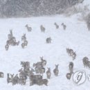 우현목장 이미지