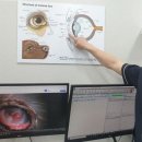 (주)바이오사료연구소 | 강아지 눈영양제 백내장 관리 방법