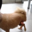 건국동물병원 이미지