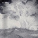 Untitled-0 이미지