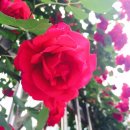 사직2동 주민센터 이미지