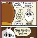 사치 이미지