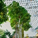 거제남서로 이미지