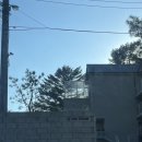 베니베럼 이미지