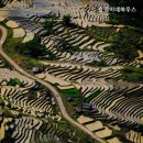 호영이네 하우스 이미지